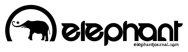 Logo-Elephant-Journal